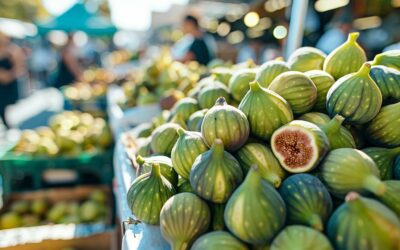 Où acheter des pépins de figues de barbarie ?